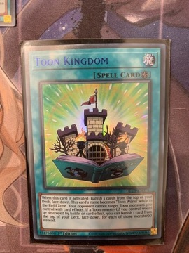 DLCS Toon Kingdom (wersja niebieska)