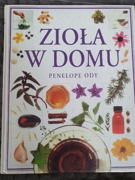 Zioła w domu poradnik