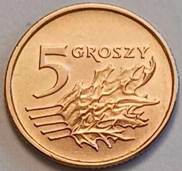 5 gr groszy 1998 r. b. ładna