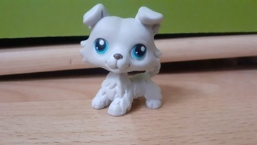 ORYGINAŁ ! Lps collie pop littlest pet shop pop 