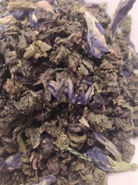 Butterfly tea niebiesko-zielona herbata