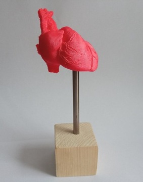 Serce ludzkie model anatomiczny