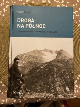 Droga na Północ Antologia norweskiej literatury 