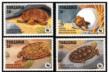 WWF TANZANIA  1993  ZÓŁWIE  