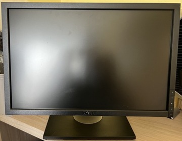 Monitor Dell E1910c DVI D-SUB