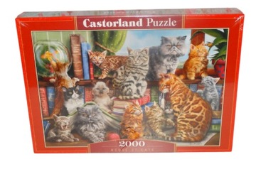 NOWE Puzzle 2000 Castorland Biblioteka Koty Rybki