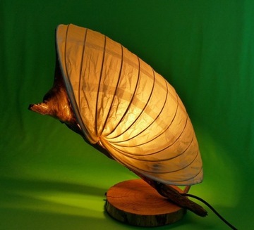 Baśniowa lampa stojąca, korzeń, handmade