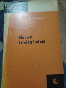 Nerwy i mózg ludzki antyk z 1966