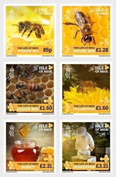 MAN - fauna pszczoły seria 2024**