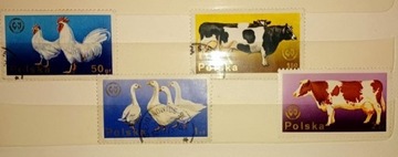 Seria znaczków - zwierzęta domowe