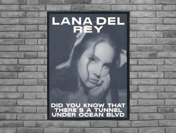 Plakat lana del rey did you know 