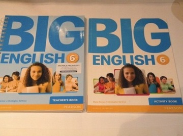 Big English 6 Activity Book 