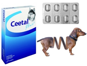 Tabletki na odrobaczanie psa psów tasiemca glisty