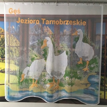 Firanka Gęś 150x150 cm JEZIORO TARNOBRZESKIE 