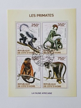 (1714 ) blok małpy