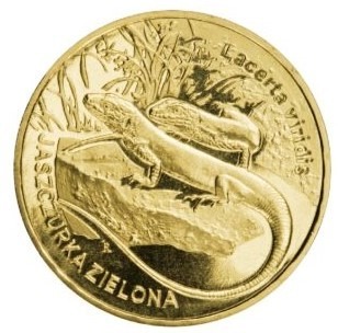 Moneta 2 zł "Jaszczurka Zielona"
