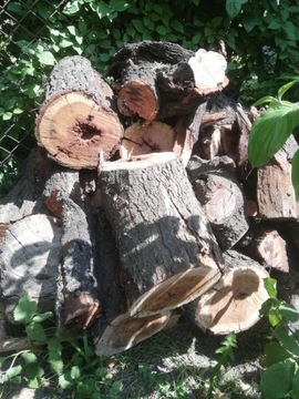 Drewno do wędzenia śliwa 20kg Suche sezonowane