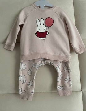 Komplet H&M 74 królik miffy zara bluza spodnie