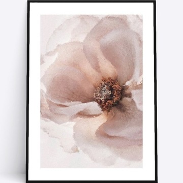 A4 Plakat kwitnąca dzika róża do salonu sypialni