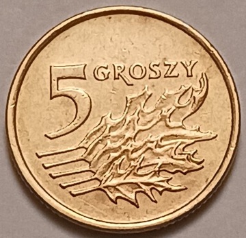 5 gr groszy 1991 r. 