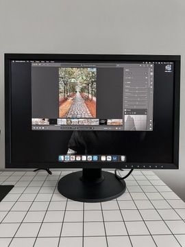 Monitor Eizo coloredge cs2420 24” nowy