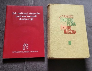 Mała encyklopedia ekonomiczna, Jak uniknąć kłopotów podczas kontr.skarbowej