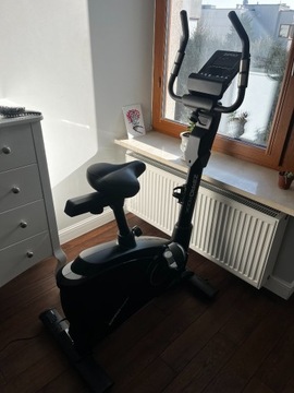 Rower treningowy Zipro Rook Gold