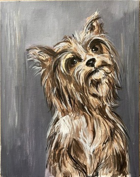 PORTRET PSA RASY YORKSHIRE TERRIER