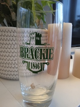 pokal do piwa brackie