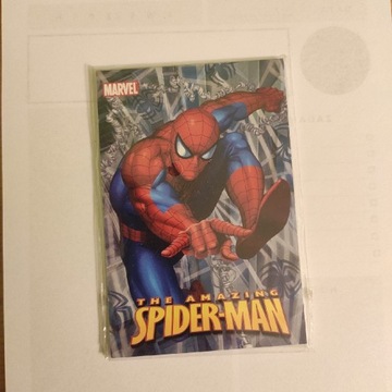 Mały notes Spiderman marvel notatnik