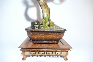 sztuczne drzewko bonsai
