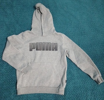 Bluza chłopięca puma