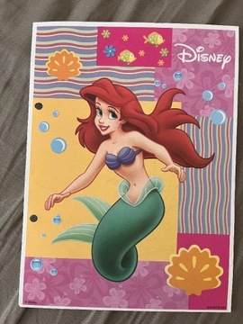 Karteczka Księżniczki Disney Arielka