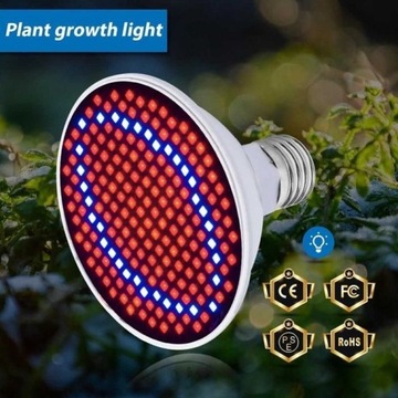 Żarówka GROW 300 LED do uprawy roślin E27