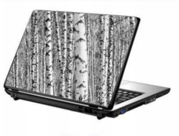 laptop | HP Chromebook 14 G3|zasilacz|9h!!!|skin81