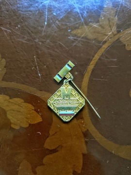 Odznaka Zasłużony mostostalowiec złoty pin PRL