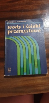 Wody i ścieki przemysłowe - Grzegorz Chądzyński