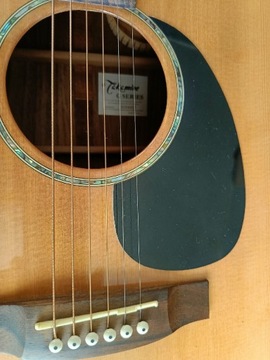 Gitara elektroakustyczna Takamine EG330SC