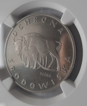 100 zł Żubr próba nikiel NGC 