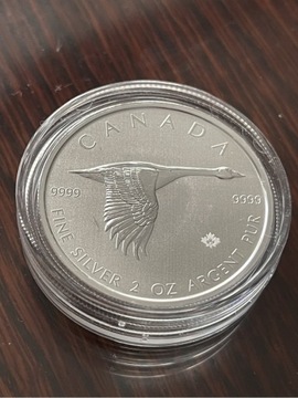 Gęś Kanadyjska 2020 2oz Ag srebro monety