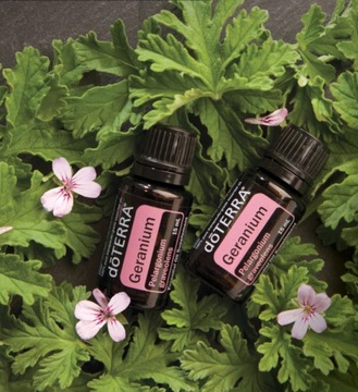 Geranium doTERRA 15 ml