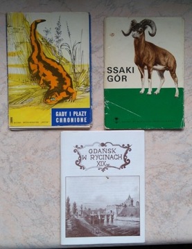 Zestaw pocztówek 29 szt. gady płazy ssaki Gdańsk