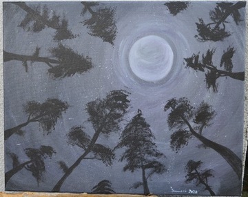 Obraz "Noc w sosnowym borze"