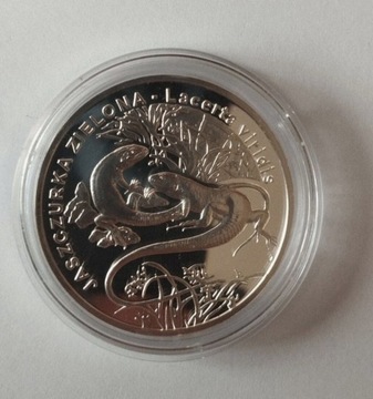 Srebrna moneta Jaszczurka zielona 20zł.