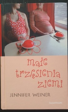 Jennifer Weiner Małe trzęsienia ziemi