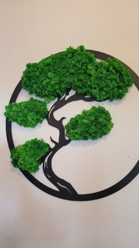 Drzewko Bonsai,żywy obraz średnica 60 cm