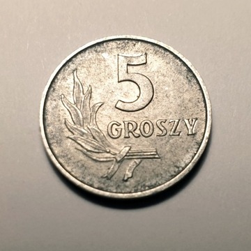 Polska - Moneta 5 gr 1971