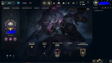 Konto League of Legends[brakuje 1champ,198skinów]