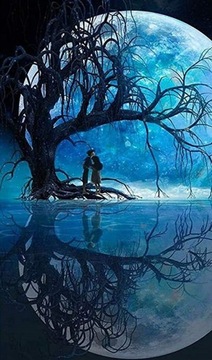 Obraz Malowanie Po Numerach - Blue Moon 40x50cm