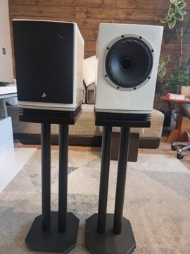 Głośniki monitory Fyne Audio F500 biały piano GW24